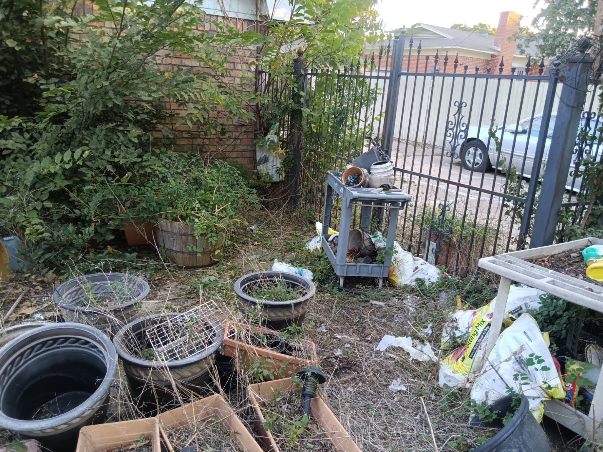 Yard before seasonal cleanup